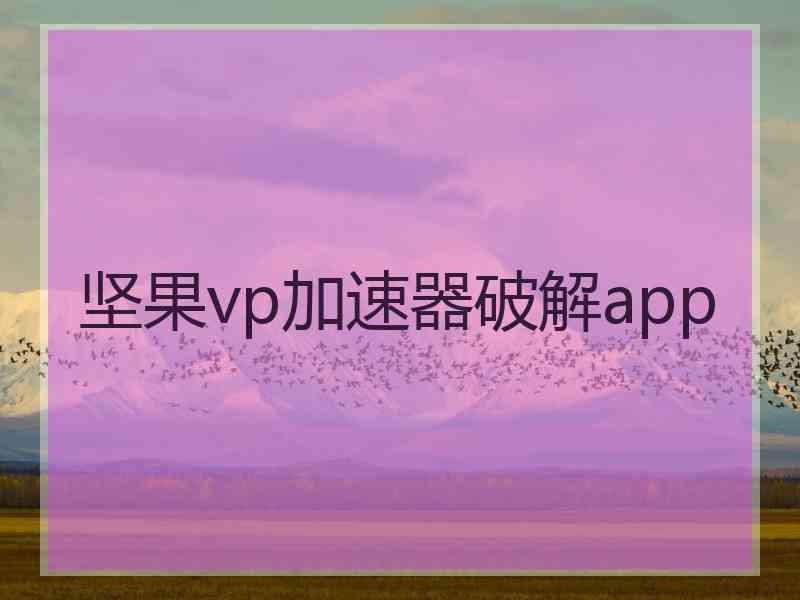 坚果vp加速器破解app