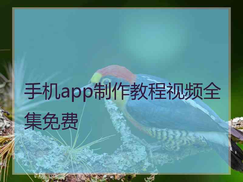 手机app制作教程视频全集免费