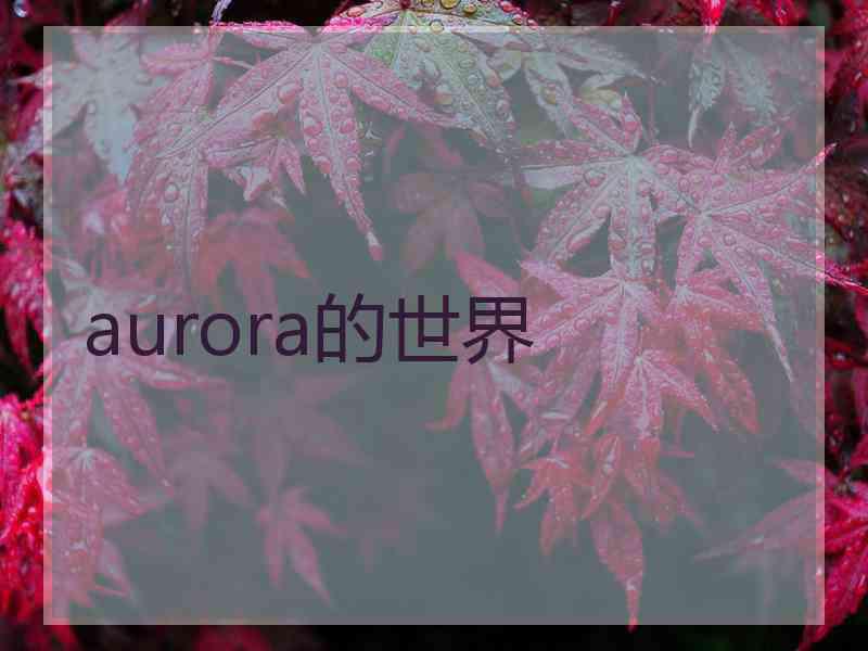 aurora的世界