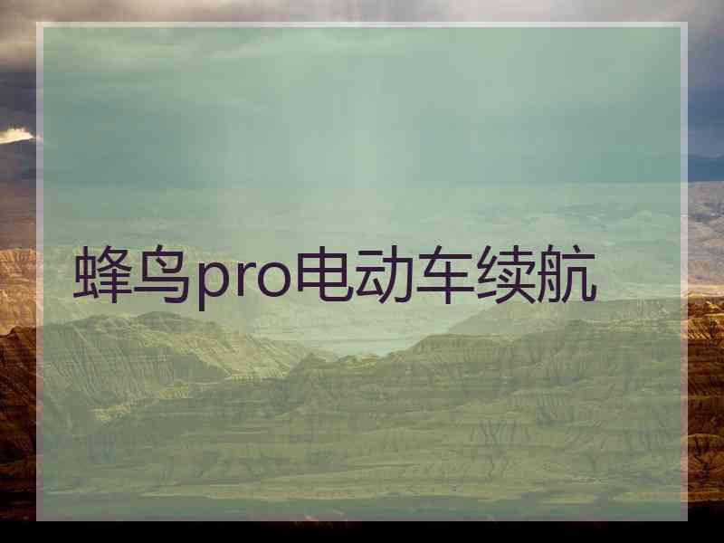 蜂鸟pro电动车续航