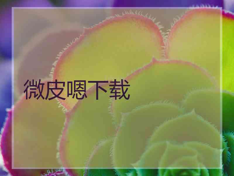 微皮嗯下载