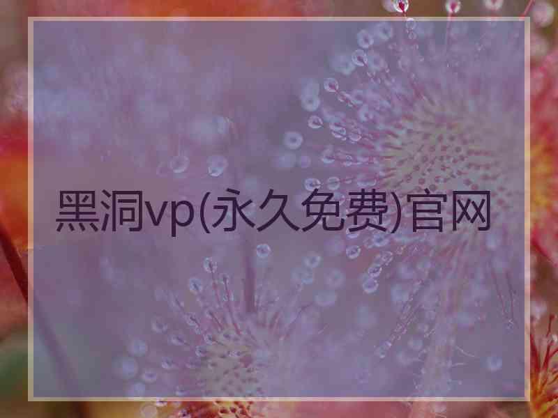 黑洞vp(永久免费)官网