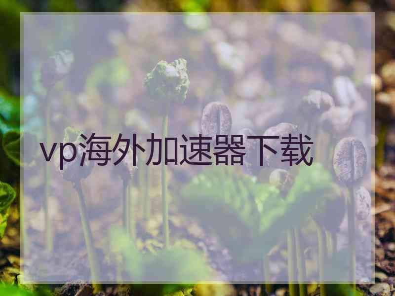 vp海外加速器下载