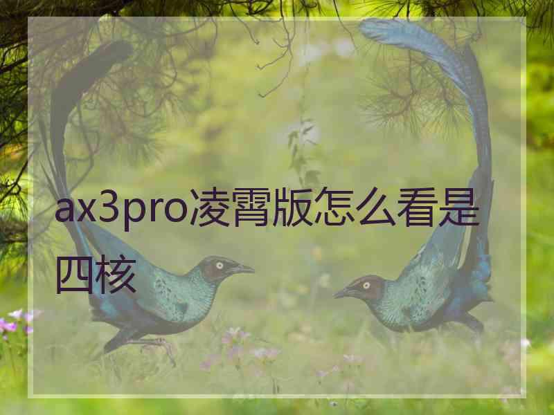 ax3pro凌霄版怎么看是四核