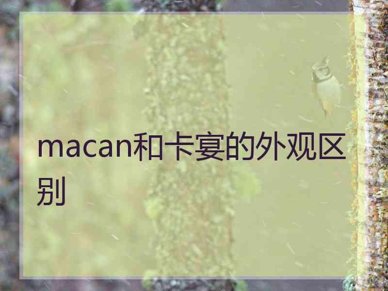 macan和卡宴的外观区别