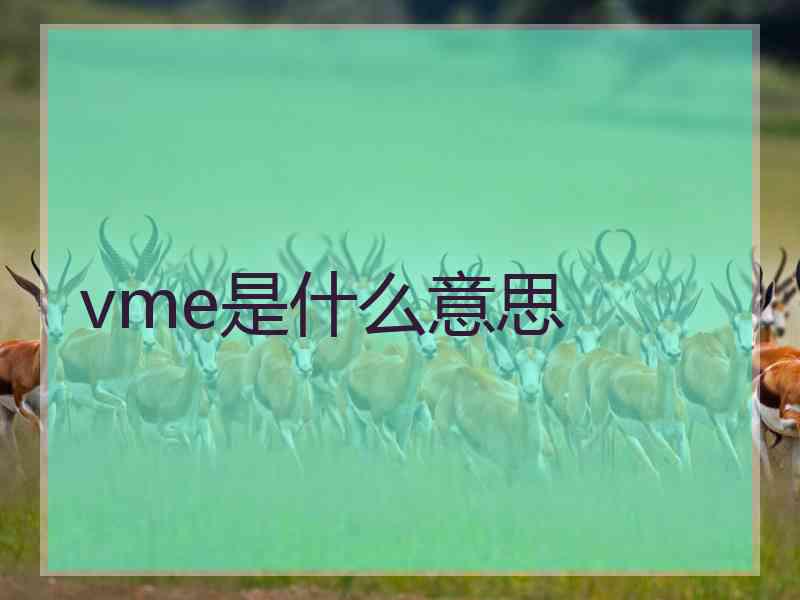 vme是什么意思