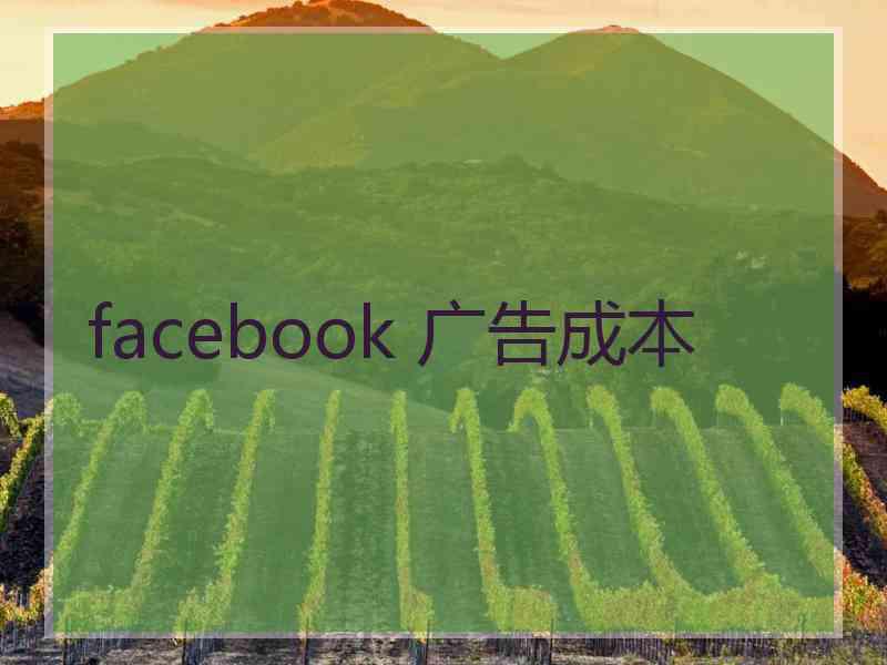 facebook 广告成本