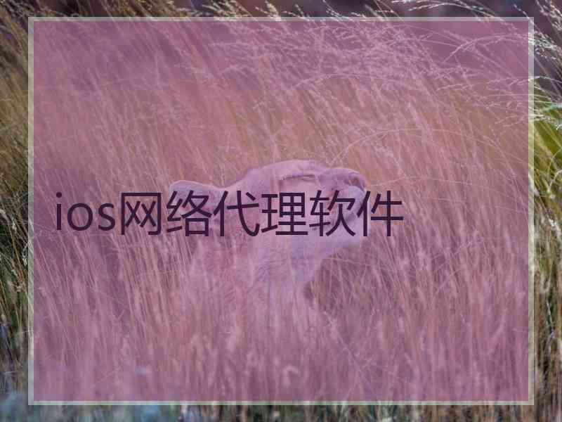 ios网络代理软件