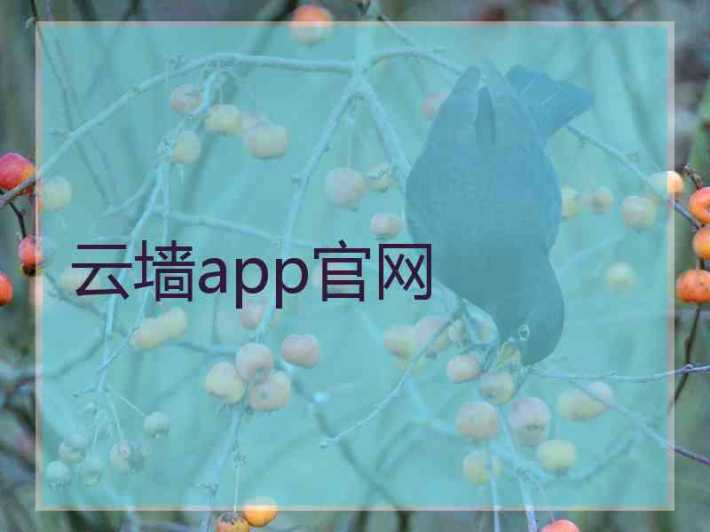 云墙app官网