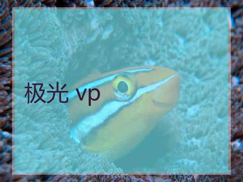 极光 vp