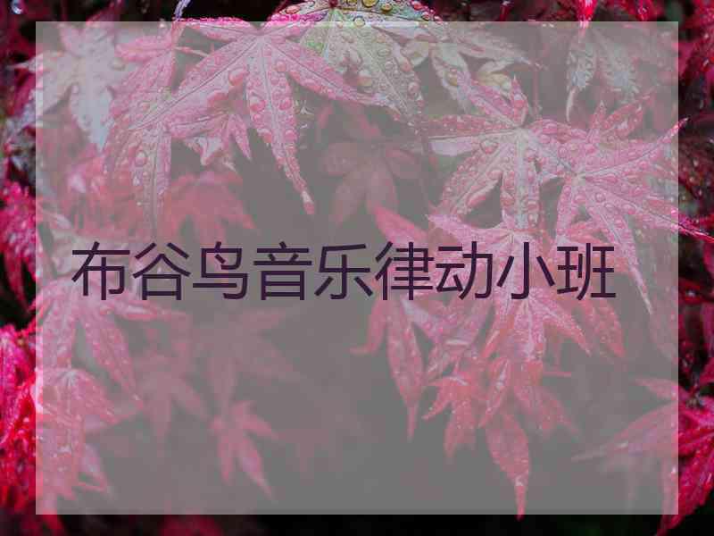 布谷鸟音乐律动小班