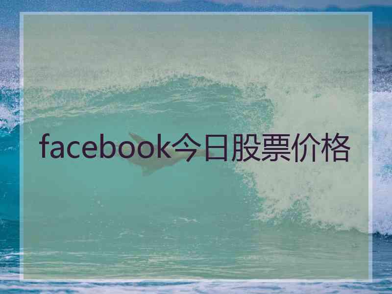 facebook今日股票价格