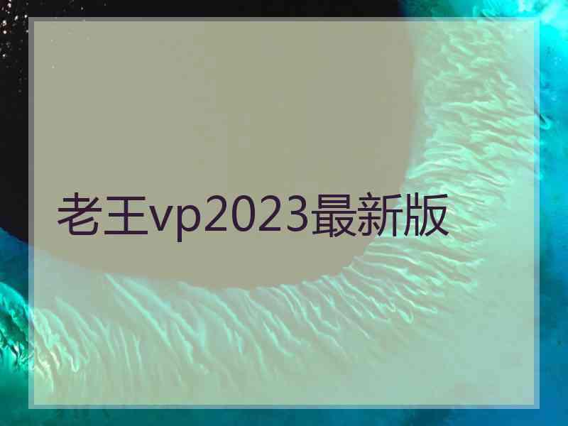 老王vp2023最新版