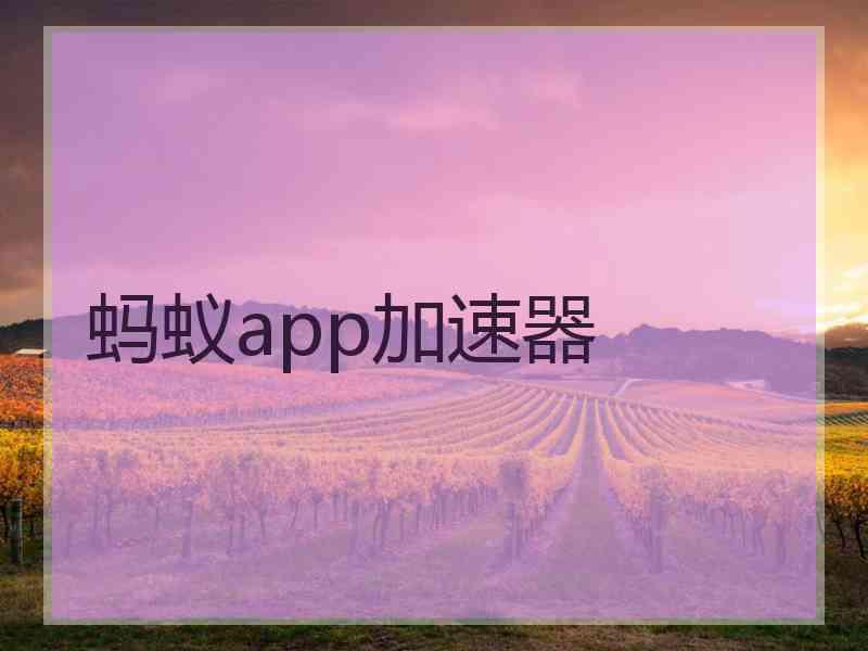 蚂蚁app加速器