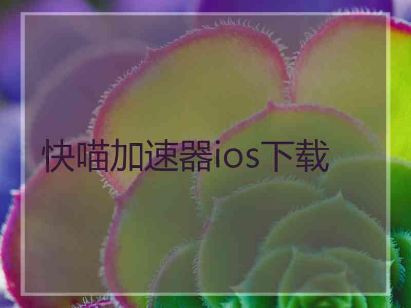 快喵加速器ios下载