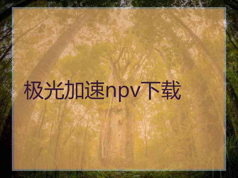 极光加速npv下载