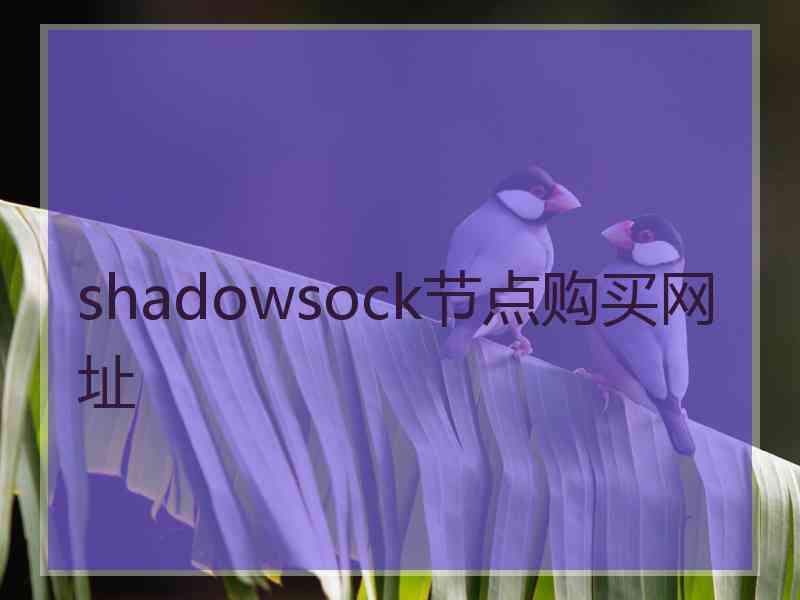 shadowsock节点购买网址