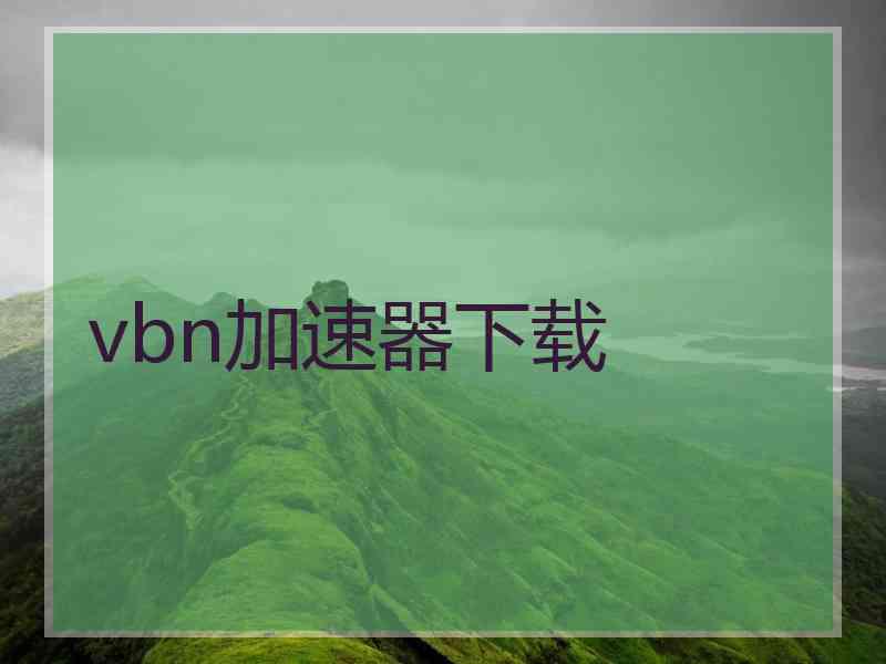 vbn加速器下载