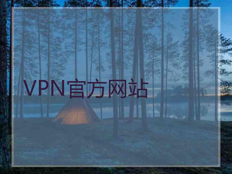 VPN官方网站