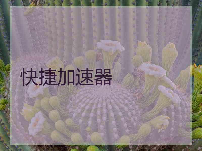 快捷加速器