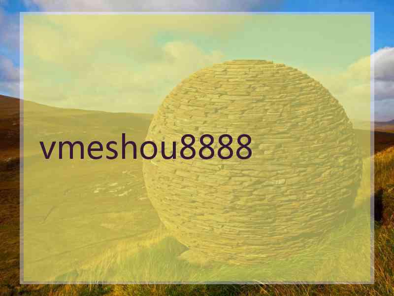 vmeshou8888