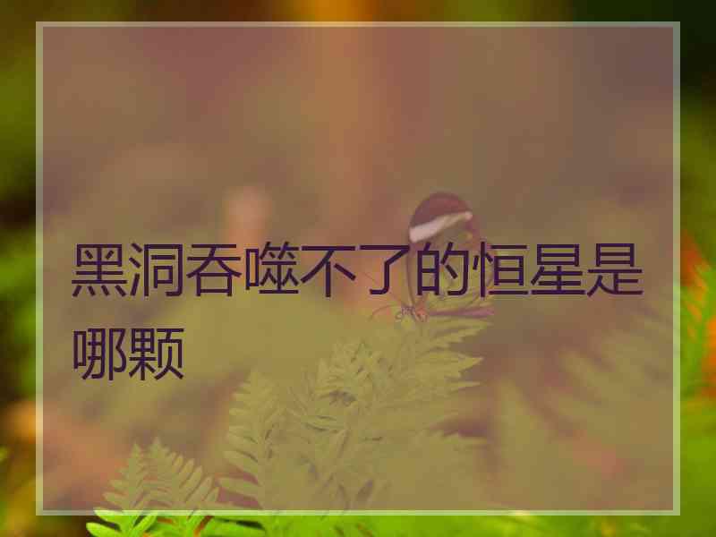 黑洞吞噬不了的恒星是哪颗