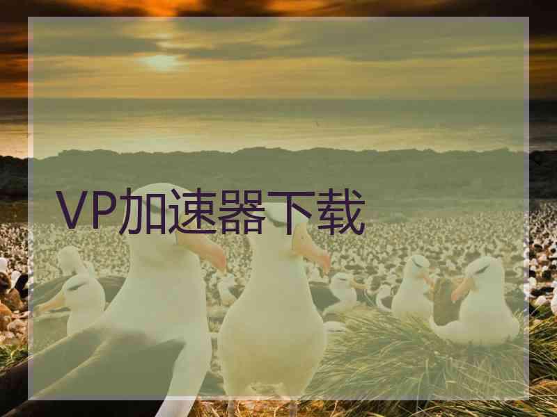 VP加速器下载