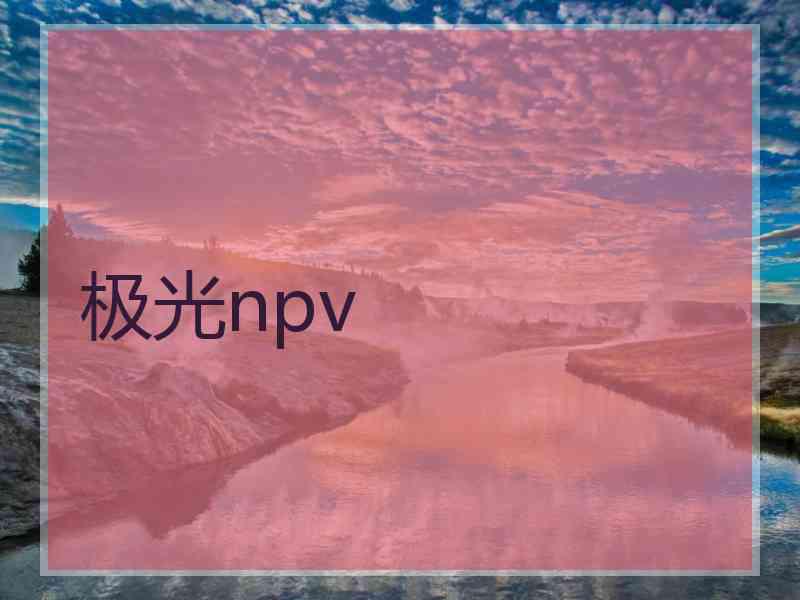 极光npv