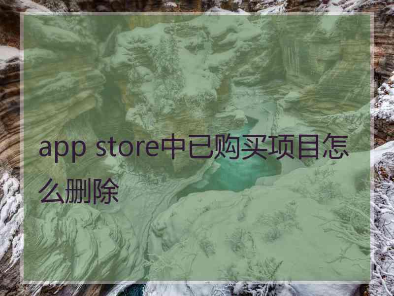 app store中已购买项目怎么删除