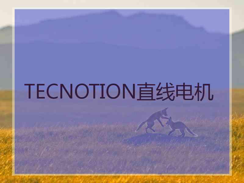 TECNOTION直线电机