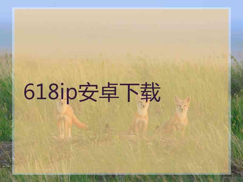 618ip安卓下载