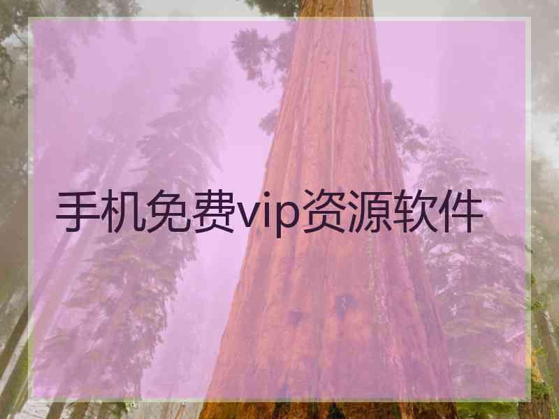 手机免费vip资源软件