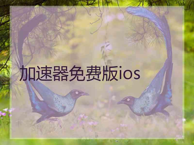 加速器免费版ios