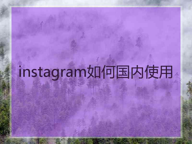 instagram如何国内使用