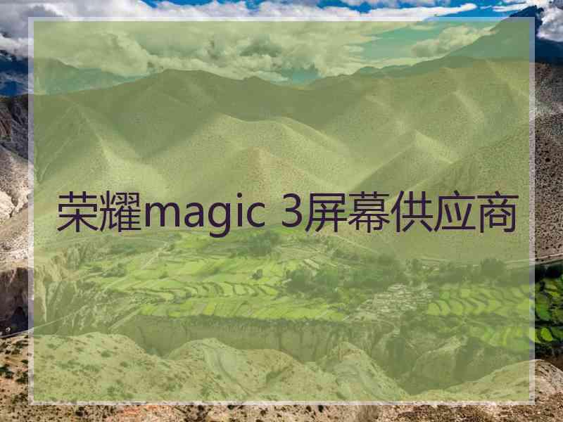 荣耀magic 3屏幕供应商