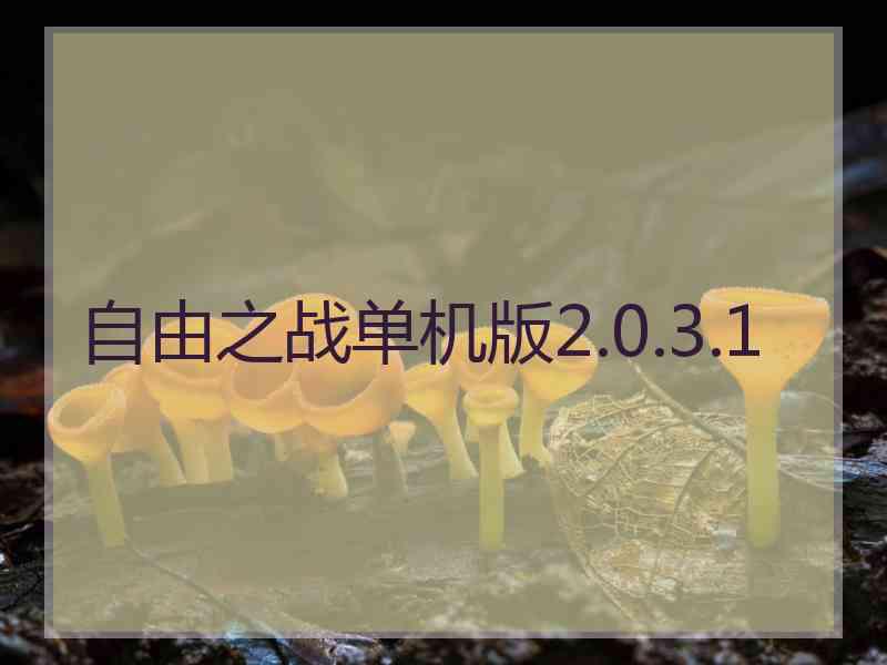 自由之战单机版2.0.3.1