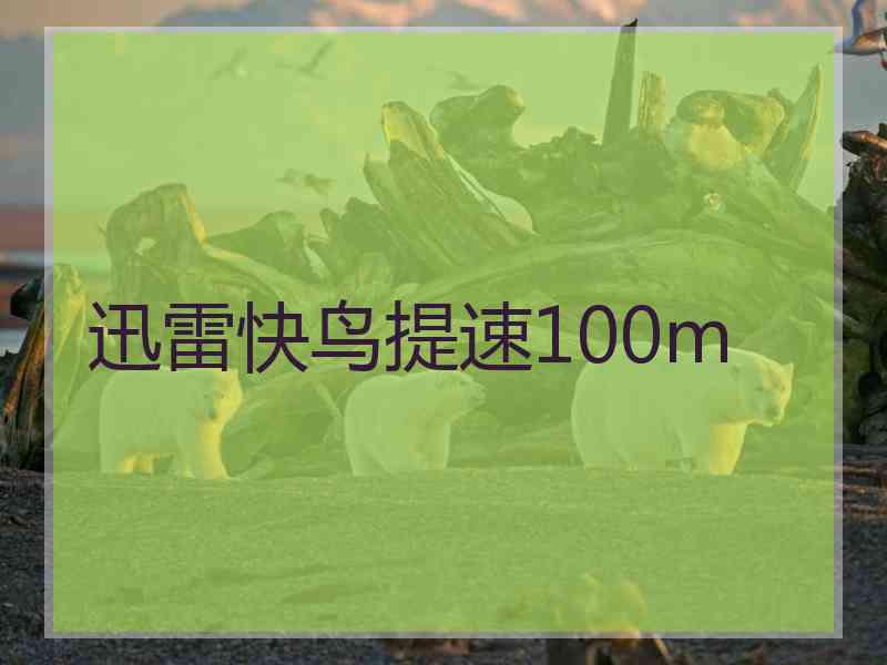 迅雷快鸟提速100m