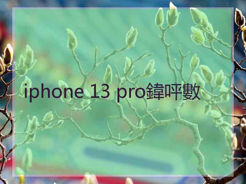 iphone 13 pro鍏呯數