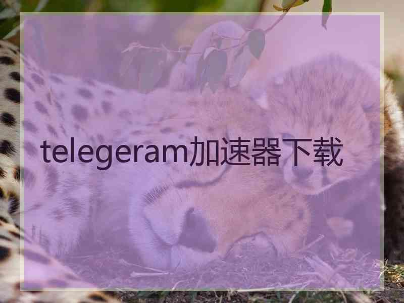 telegeram加速器下载