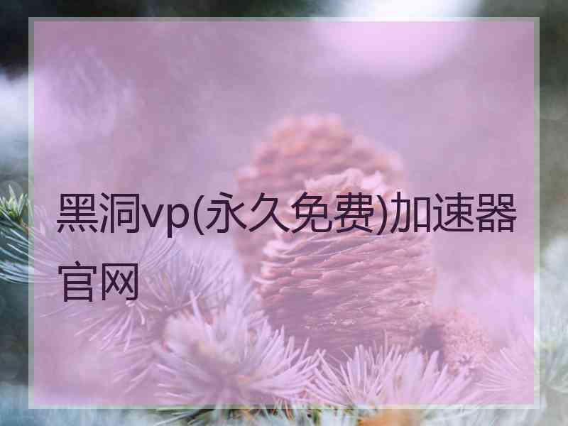 黑洞vp(永久免费)加速器官网