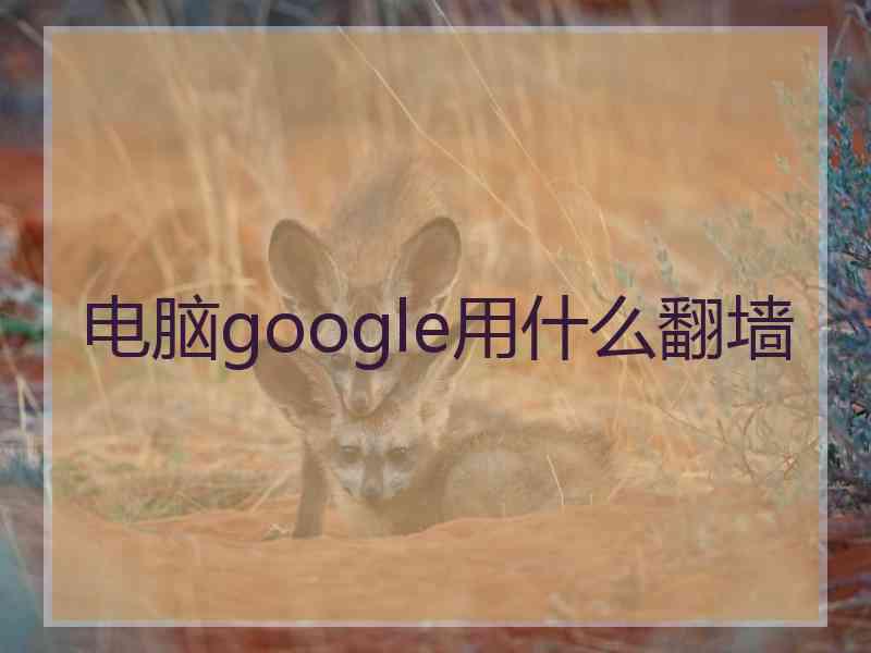 电脑google用什么翻墙