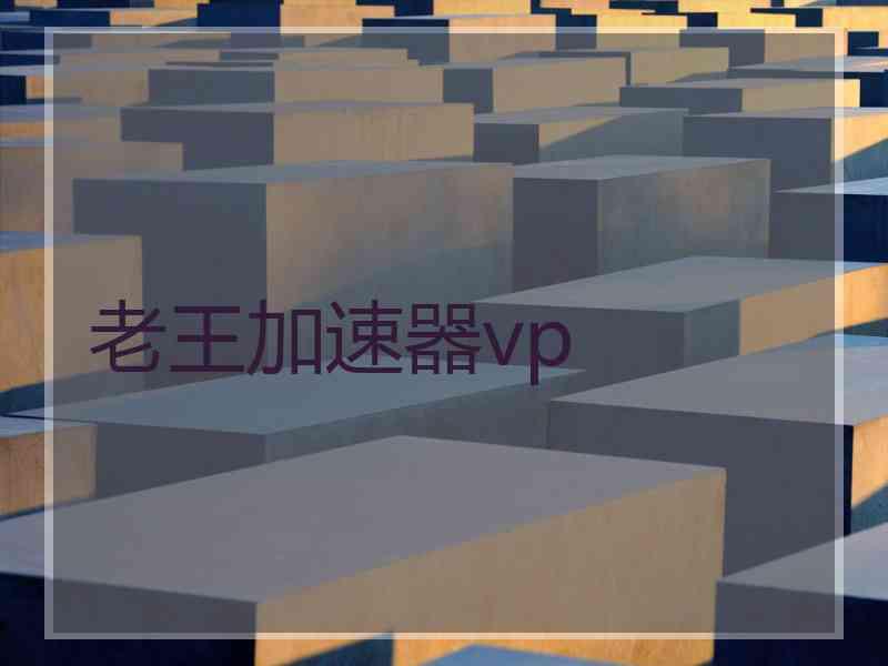 老王加速器vp