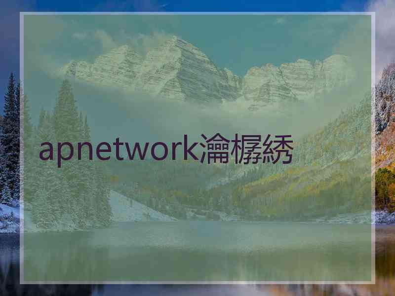 apnetwork瀹樼綉