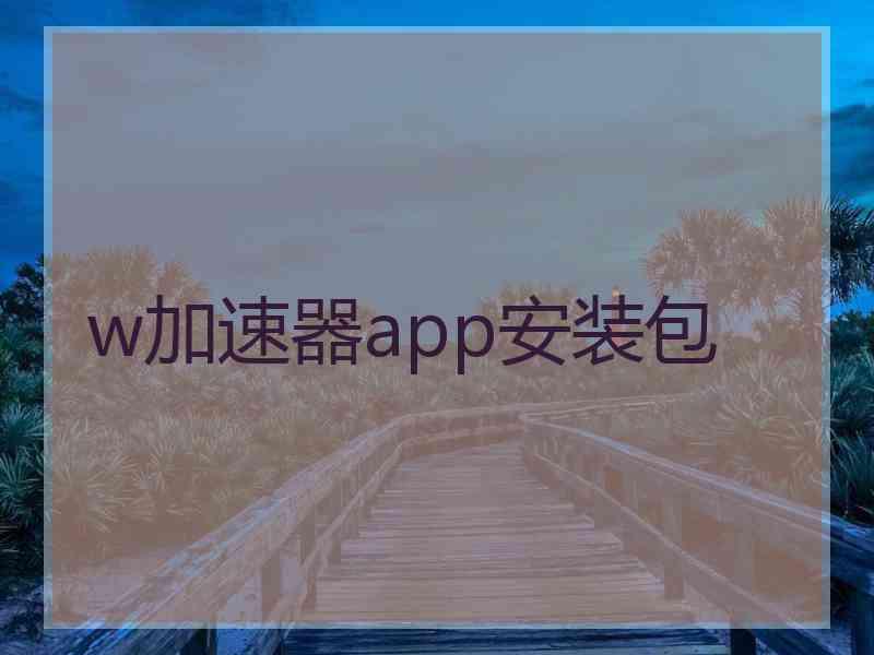 w加速器app安装包