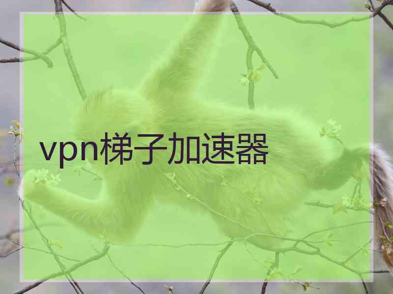 vpn梯子加速器