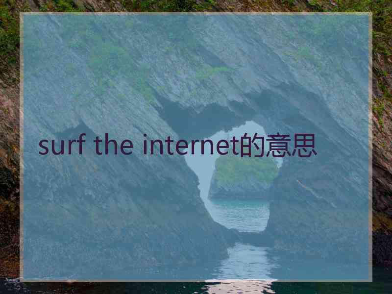 surf the internet的意思