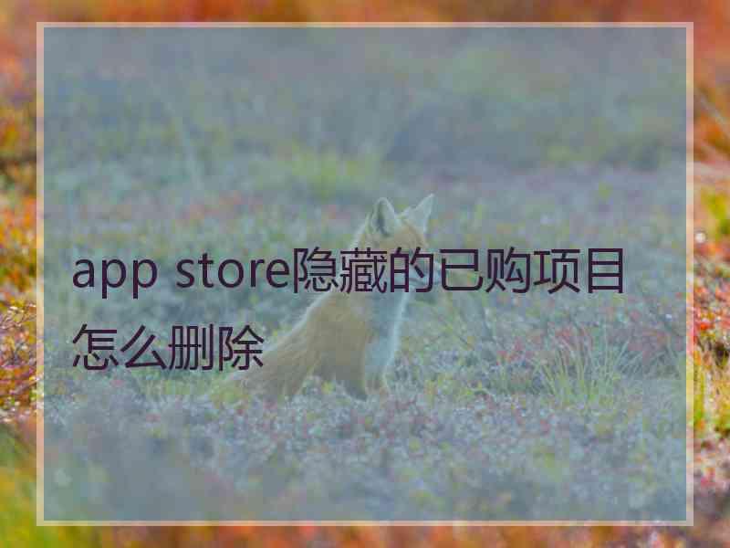 app store隐藏的已购项目怎么删除