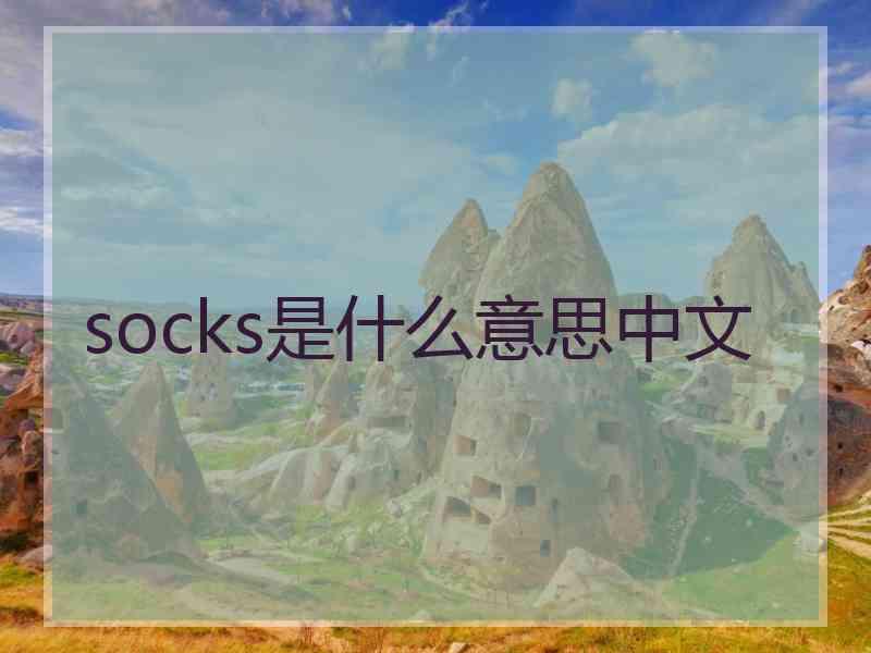 socks是什么意思中文