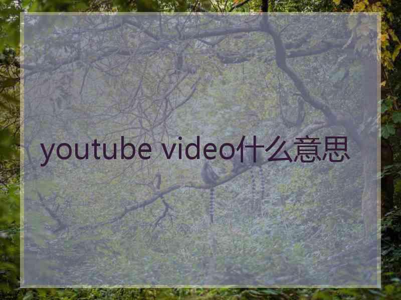 youtube video什么意思