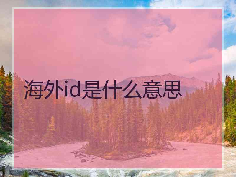 海外id是什么意思